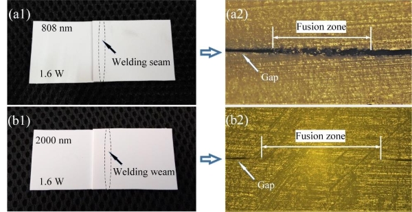 圖片：0.808μm和2μm激光焊接白色PP結果：(a1,b1)實物圖;(a2,b2)截面切片顯微圖